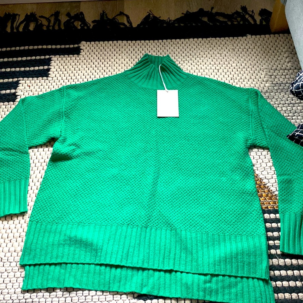 Cashmere Green Everlane Turtleneck NWT